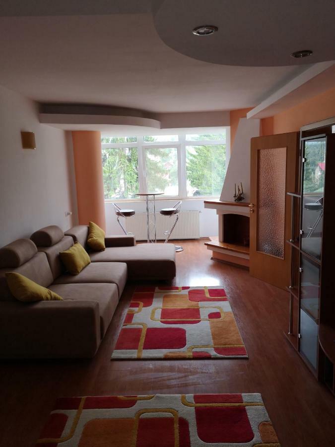 Central Apartament Predeál Kültér fotó
