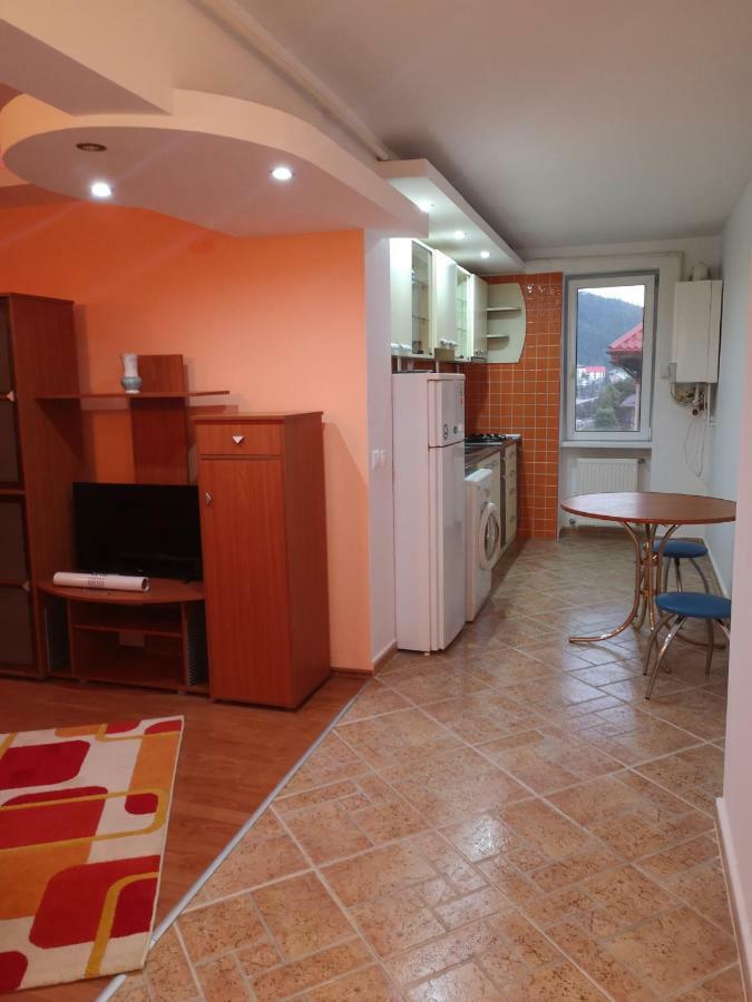 Central Apartament Predeál Kültér fotó
